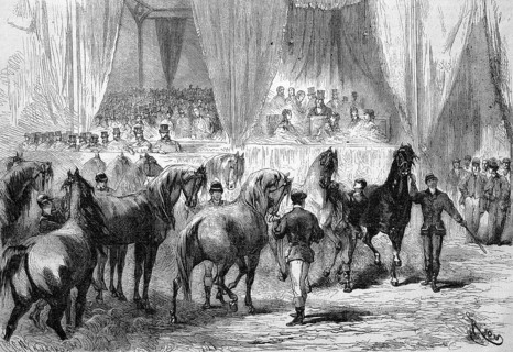 Horse show and award ceremony at the Palais de lIndustrie, the winning horses pass the jury stand,