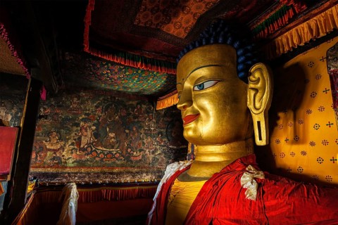 Sakyamuni Buddha statue in Shey gompa (Tibetan Buddhist monastery) . Shey, Ladakh, India, Asia
