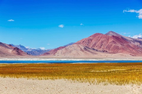 Tso Kar, fluctuating salt lake in Himalayas. Rapshu, Ladakh, Jammu and Kashmir, India, Asia