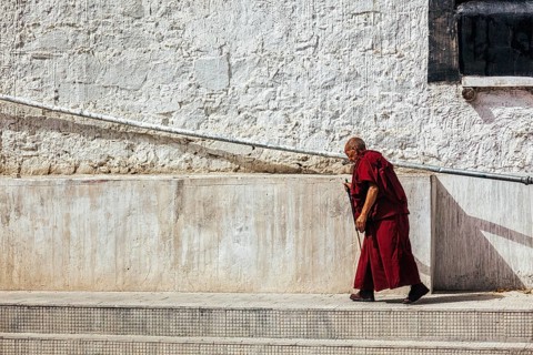 SPITUK, INDIA, SEPTEMBER 15, 2012: Old buddhist monk walking along the wall of Spituk gompa,