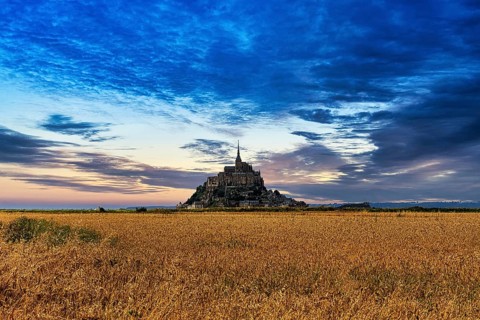 Mont Saint Michel behind a field, dusk in summer, Normandy, France, Europe