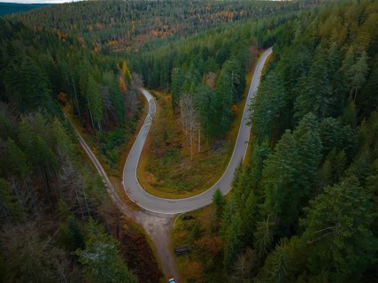 S-curve through the forest, Black Forest, Germany, Europe