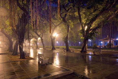 Guangzhou People's Park with mist fog at night. Guangzhou, China, Asia