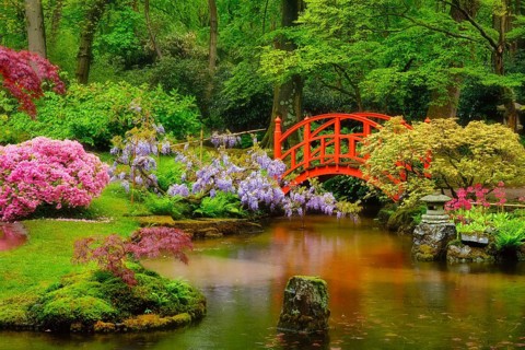 Small bridge in Japanese garden, Park Clingendael, The Hague, Netherlands
