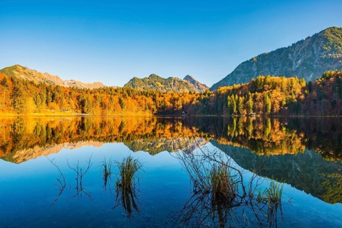 Freibergsee, near Oberstdorf, with the Allgäu Alps behind, Allgäu, Bavaria, Germany, Europe