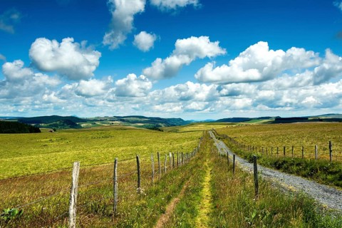 Cezallier plateau in the Auvergne volcanoes regional natural park, Puy de Dome department,