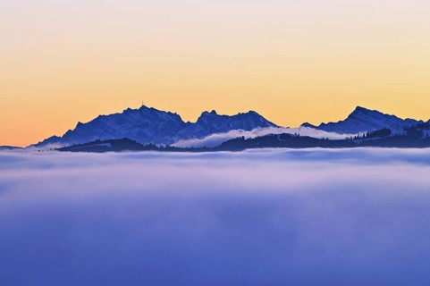 Sunset over the sea of fog, in the background the Säntis, Canton Zug, Switzerland, Europe