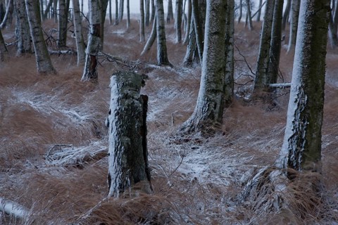 First snow in the Eastern Ore Mountains too