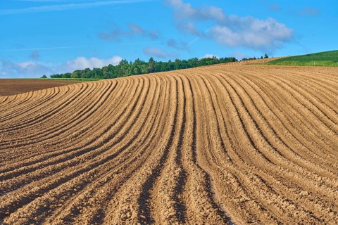 Landscape with potato field in spring, Großheubach, Miltenberg, Spessart, Bavaria, Germany, Europe
