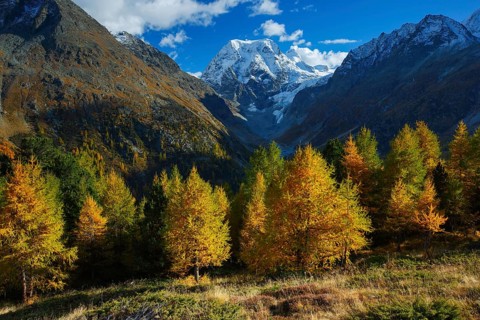 Mt Collon, Arollatal, Valais Switzerland