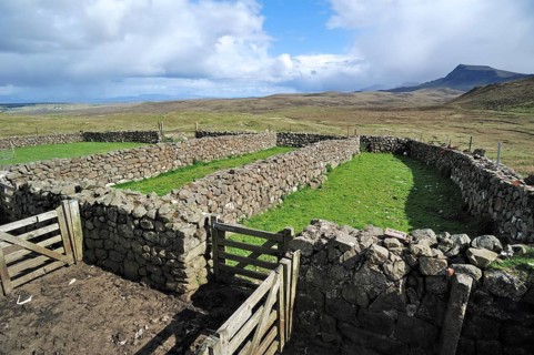 Dry stone sheep pen on the Isle of Skye, Inner Hebrides, Scotland, UK