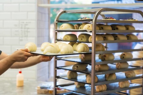 Baker of bakery in workshop workshop of artisan bakery placing croissant for baking