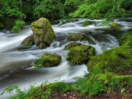 White water and rapids on the Trieb stream in the Triebtal nature reserve in Vogtland, Plauen,