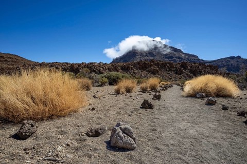 Faded Teide gorse and the summit of Montaña Guajara, also: Alto de Guajara, 2715m, crater walls,