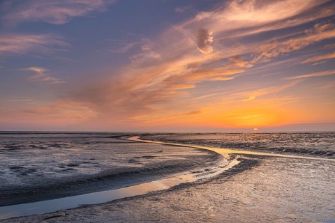 View of a tidal flat in the Wadden Sea at low tide at sunset, National Park, Unesco, World Natural