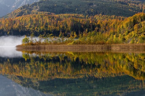 Lake Almsee in autumn with a forest reflected in the lake. A slowly dissipating fog moves over the