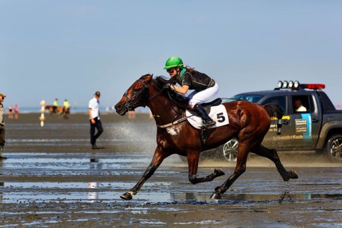 Rider, horsewoman, horse at a gallop, gallop race in the mudflats, Duhner Wattrennen 2019, Duhnen,