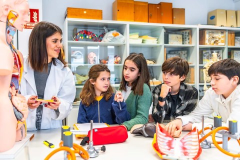 Elementary school students learning about human body anatomy with anatomical model in science class