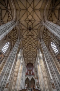 Reticulated vault and organ loft of the late Gothic hall church of St George, Dinkelsbühl, Bavaria,
