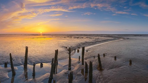 View of old rotten stakes in the Wadden Sea at low tide at sunset, National Park, Unesco, World