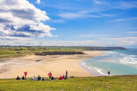Group of hikers resting on a flowering meadow by a beautiful sandy beach with a seascape view a