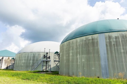 Federal Minister of Food and Agriculture, Cem Özdemir, visits Großdrebnitzer Agrarbetriebsges. mbH