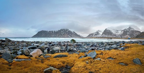 Panorama of rocky coast of fjord of Norwegian sea in winter with snow. Skagsanden beach, Lofoten