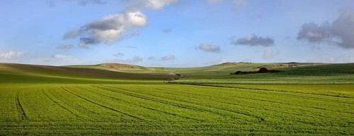 Agricultural landscape showing fields at the French Opal Coast, Côte d'Opale, France, Europe