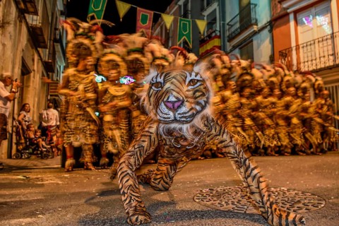 Person in a tiger costume, historical procession of Moors and Christians Parade, Moros y