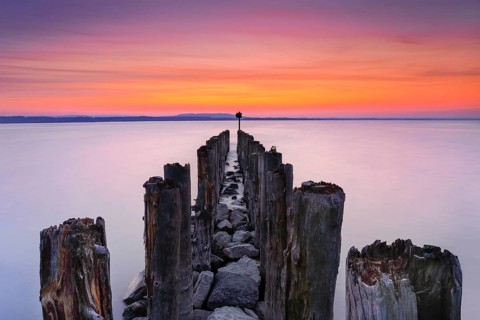 Ancient wooden piles in Lake Constance at sunrise against the light, near Altnau in the canton of
