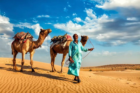 Rajasthan travel background, Indian cameleer (camel driver) with camels in dunes of Thar desert.