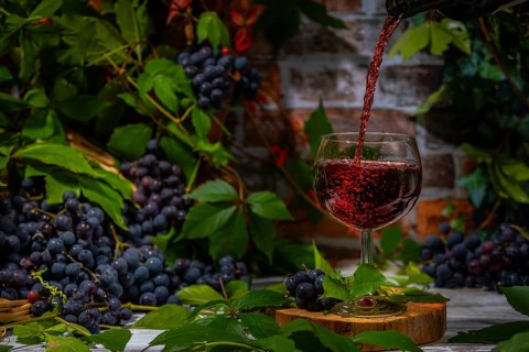 Pouring wine into glass surrounded by blue burgundy grapes in front of brick wall with leaves