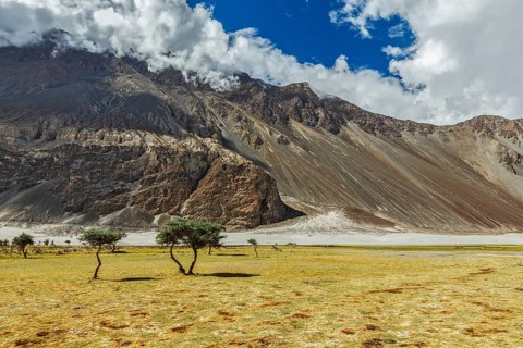 Himalayas and landscape of Nubra valley. Hunber, Nubra valley, Ladakh, India, Asia