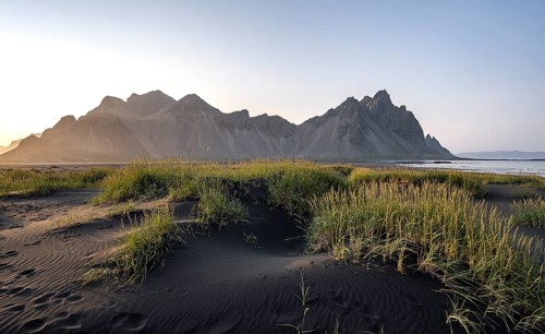Black beach with volcanic sand, sandy beach, dunes with grass, Stokksnes headland, Klifatindur
