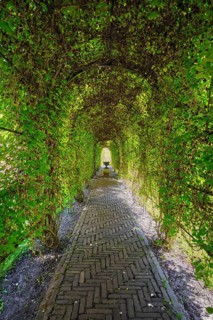 Green berceau arbour trellis overgrown garden path arcade arch way in Keukenhof garden. Lisse,