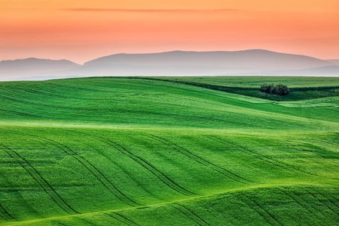 Moravian rolling landscape on sunrise. South Moravia, Czech Republic, Europe