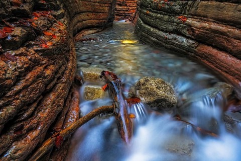 The Taugl in the Davidgraben, Tennegau, Salzburger Land, Austria, Europe