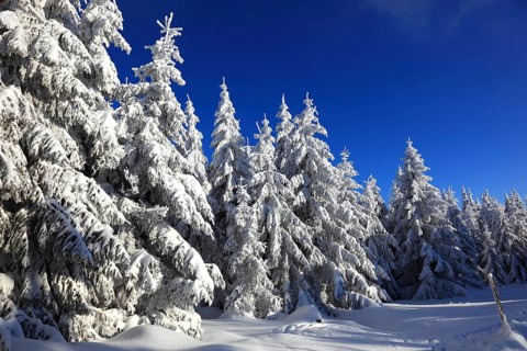 Winter landscape in the Fichtelgebirge, Bayreuth district, Upper Franconia, Bavaria, Germany,