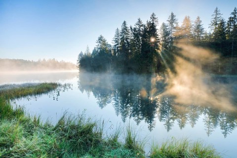 Rays of sunshine make their way through forest and fog at the mirror-smooth moorland lake Étang de