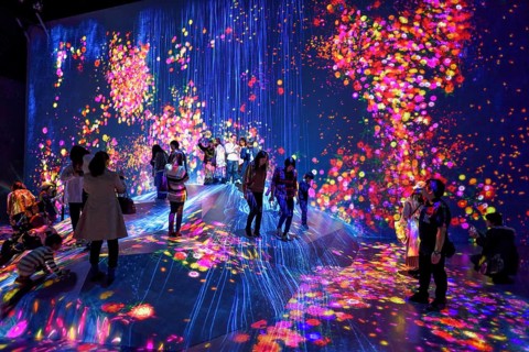 Digital Art Museum, Epson Team Lab Borderless, Odaiba Island, Tokyo, Japan, Asia
