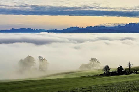 Fog over the Reuss valley, behind the snow-covered Alps, Schlatt, Freiamt, Canton Aargau,