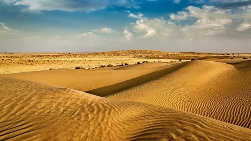 Panorama of dunes of Thar Desert. Sam Sand dunes, Rajasthan, India, Asia