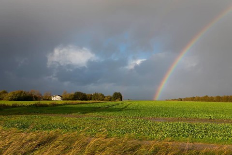 Rainbow at Storvorde, Sejlflod, Aalborg, Nordjylland, North Jutland, Limfjord, Denmark, Europe