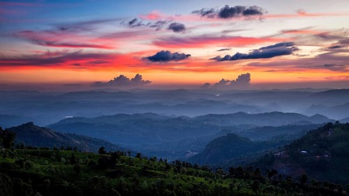 Panorama of sunset in mountains with tea plantations. Munnar, Kerala, India, Asia