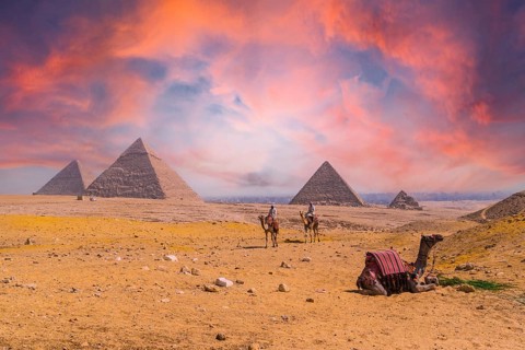 Cairo, Egypt, October 2020: A seated camel and men on camels in the background at the Pyramids of