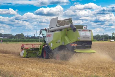 Grain harvest in the Rhein-Pfalz district near Mutterstadt