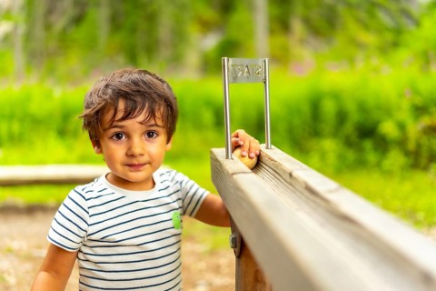 Young boy starting a ball on a wooden track marked with start, enjoying outdoor play in a natural