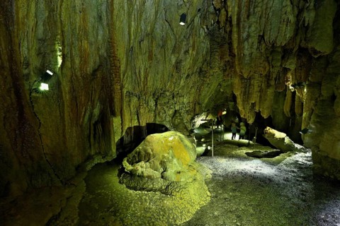 Arched turtle and crocodile, calcite formations, landmark of the grotto, stalactite cave,