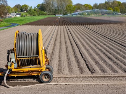 Artificial irrigation of a potato field in April, with a sprinkler system, long drought in spring