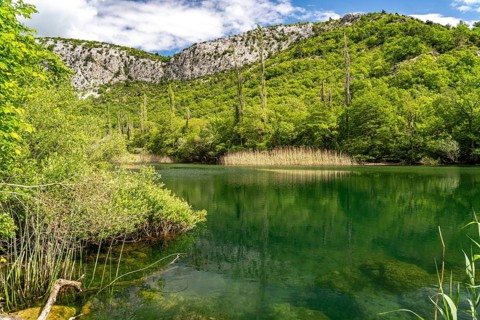 The River Cetina in the Cetina Gorge near Omis, Croatia, Europe